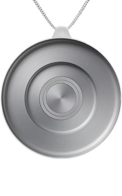 Pendant Mount - Polar